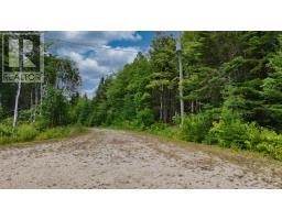 85 Lucas Lane, Kempt Road, NS B0E1J0 Photo 49