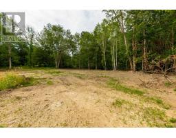 1438 River Road, Bear River, NS B0S1B0 Photo 12