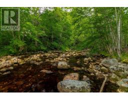 1438 River Road, Bear River, NS B0S1B0 Photo 9