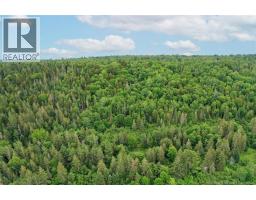 198 Acres Damascus Road, Damascus, NB E5N4A6 Photo 24