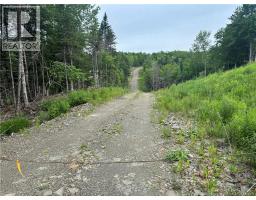 198 Acres Damascus Road, Damascus, NB E5N4A6 Photo 13