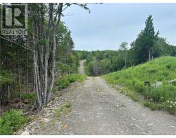 198 Acres Damascus Road, Damascus, NB E5N4A6 Photo 7