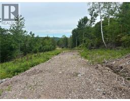 198 Acres Damascus Road, Damascus, NB E5N4A6 Photo 9