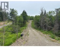198 Acres Damascus Road, Damascus, NB E5N4A6 Photo 10