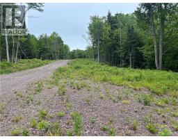 198 Acres Damascus Road, Damascus, NB E5N4A6 Photo 18