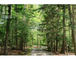 102 Sherwood Acres Drive, Parry Sound Remote Area, ON P0A1X0 Photo 39