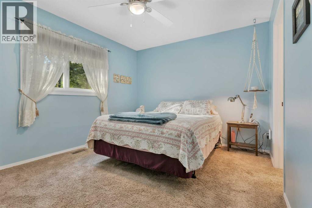 41421 Range Road 261 - Photo 28