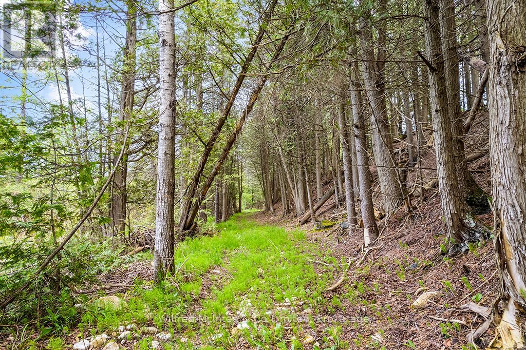 135220 CONCESSION ROAD 8 ROAD - 25