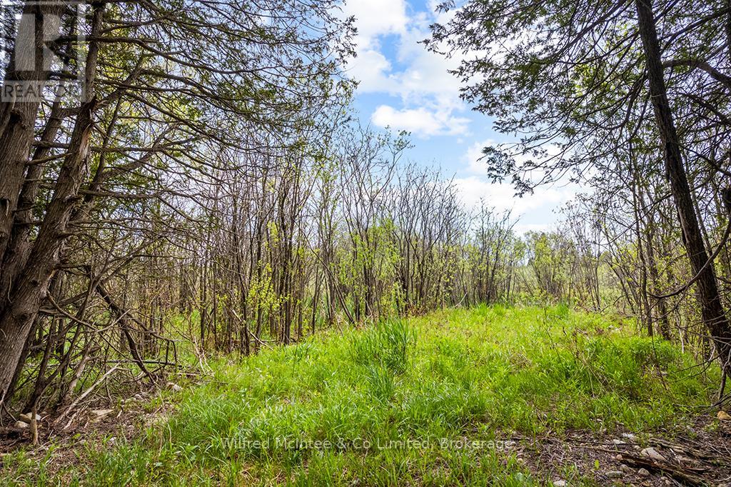 135220 CONCESSION ROAD 8 ROAD - Image 26