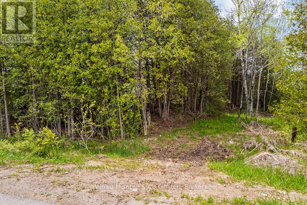 135220 CONCESSION ROAD 8 ROAD - Image 28