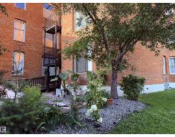 #203 10141 95 St Nw, Edmonton, AB T5H2A8 Photo 42