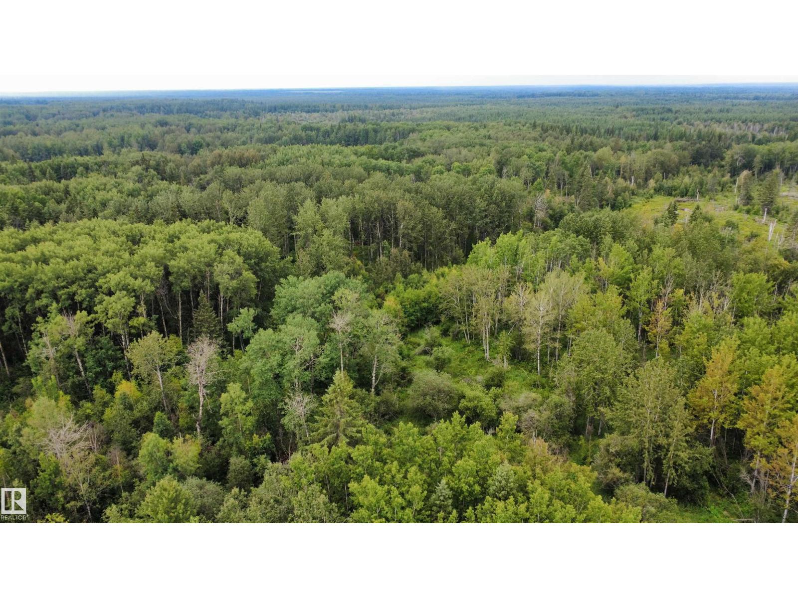 SE 20-63-19-4 (Long Lake) - Photo 8