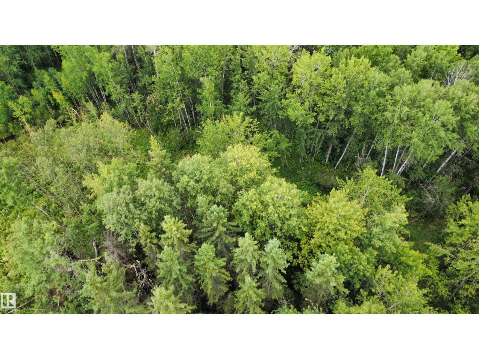 SE 20-63-19-4 (Long Lake) - Photo 9