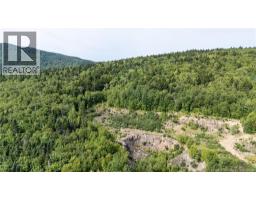1266 Albert Mines Road, Lower Cape, NB E4H1X1 Photo 35