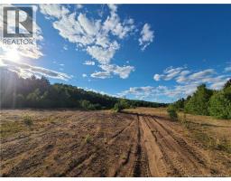 1266 Albert Mines Road, Lower Cape, NB E4H1X1 Photo 27