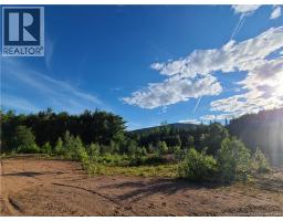 1266 Albert Mines Road, Lower Cape, NB E4H1X1 Photo 26
