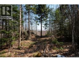 1266 Albert Mines Road, Lower Cape, NB E4H1X1 Photo 31