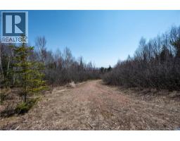 1266 Albert Mines Road, Lower Cape, NB E4H1X1 Photo 28