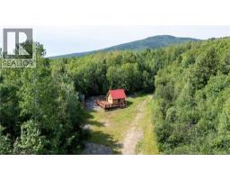 1266 Albert Mines Road, Lower Cape, NB E4H1X1 Photo 44