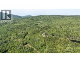 1266 Albert Mines Road, Lower Cape, NB E4H1X1 Photo 42