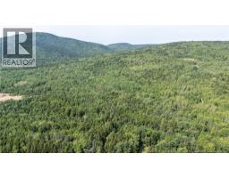 1266 Albert Mines Road, Lower Cape, NB E4H1X1 Photo 40