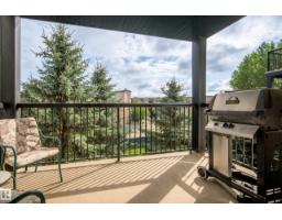#340 2436 Guardian Rd Nw, Edmonton, AB T5T2P5 Photo 19
