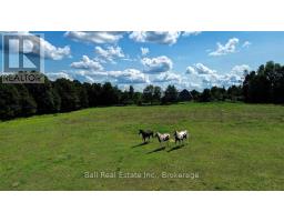 1607 The Ridge Road, Wollaston, ON K0L1P0 Photo 31