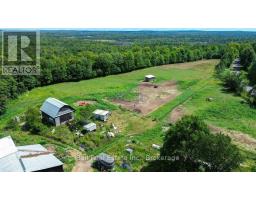 1607 The Ridge Road, Wollaston, ON K0L1P0 Photo 33