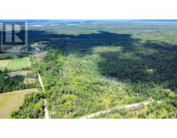 1607 The Ridge Road, Wollaston, ON K0L1P0 Photo 37
