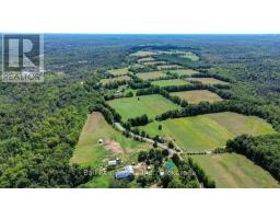 1607 The Ridge Road, Wollaston, ON K0L1P0 Photo 38