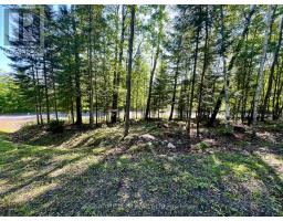 644 Mitchell Road, Madawaska Valley, ON K0J1B0 Photo 10
