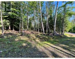 644 Mitchell Road, Madawaska Valley, ON K0J1B0 Photo 11