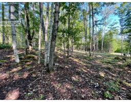 644 Mitchell Road, Madawaska Valley, ON K0J1B0 Photo 12