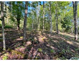 644 Mitchell Road, Madawaska Valley, ON K0J1B0 Photo 13