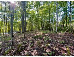 644 Mitchell Road, Madawaska Valley, ON K0J1B0 Photo 14
