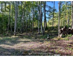 644 Mitchell Road, Madawaska Valley, ON K0J1B0 Photo 15