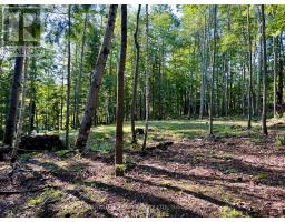 644 Mitchell Road, Madawaska Valley, ON K0J1B0 Photo 16