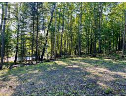 644 Mitchell Road, Madawaska Valley, ON K0J1B0 Photo 17