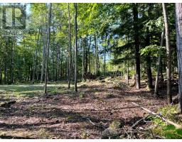 644 Mitchell Road, Madawaska Valley, ON K0J1B0 Photo 18