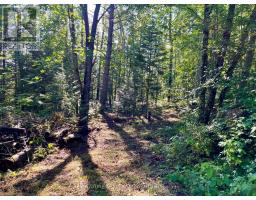 644 Mitchell Road, Madawaska Valley, ON K0J1B0 Photo 19