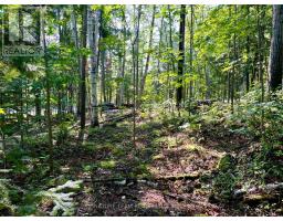 644 Mitchell Road, Madawaska Valley, ON K0J1B0 Photo 20