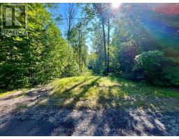 644 Mitchell Road, Madawaska Valley, ON K0J1B0 Photo 22