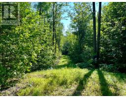 644 Mitchell Road, Madawaska Valley, ON K0J1B0 Photo 23
