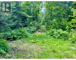 644 Mitchell Road, Madawaska Valley, ON K0J1B0 Photo 24