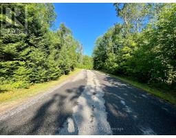 644 Mitchell Road, Madawaska Valley, ON K0J1B0 Photo 6