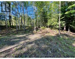 644 Mitchell Road, Madawaska Valley, ON K0J1B0 Photo 7