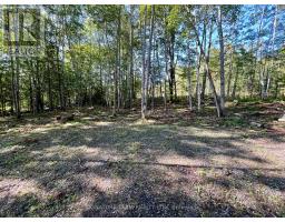 644 Mitchell Road, Madawaska Valley, ON K0J1B0 Photo 8
