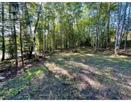 644 Mitchell Road, Madawaska Valley, ON K0J1B0 Photo 9