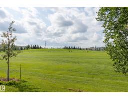 #20 3040 Spence Wd Sw, Edmonton, AB T6X1N7 Photo 28