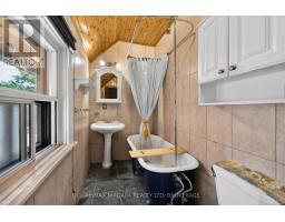 187 Emerald Street S, Hamilton, ON L8N2V6 Photo 19